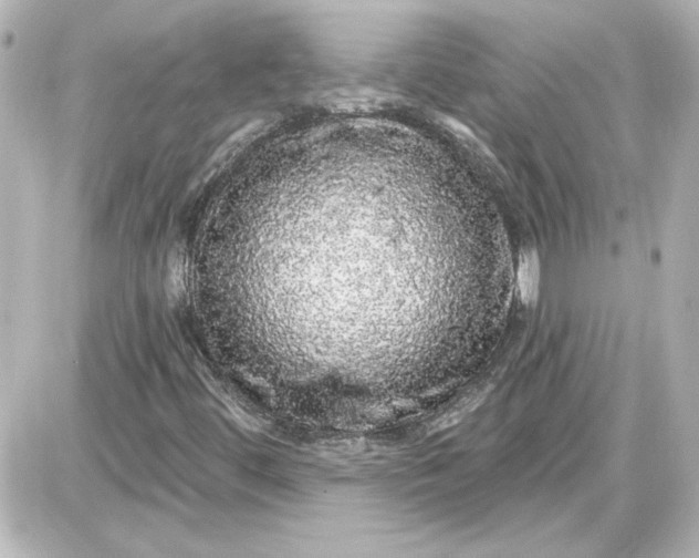 X0000087571444200705112200