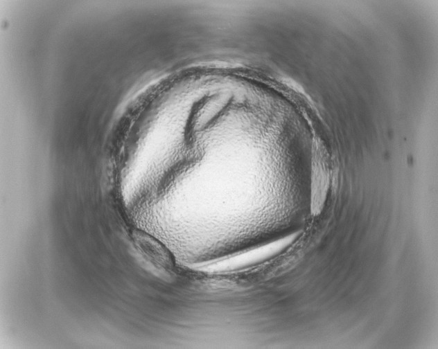 X0000087571448200705112200