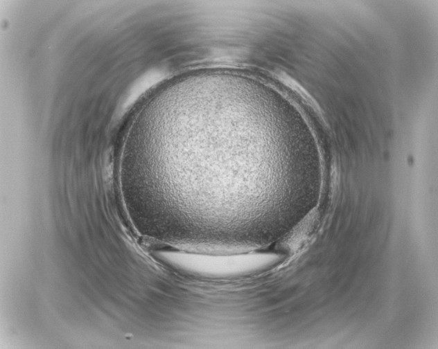X0000087571450200705112200