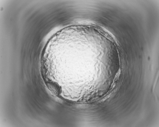 X0000087571471200705112200