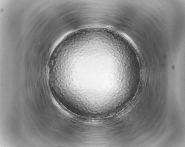 X0000087571476200705112200