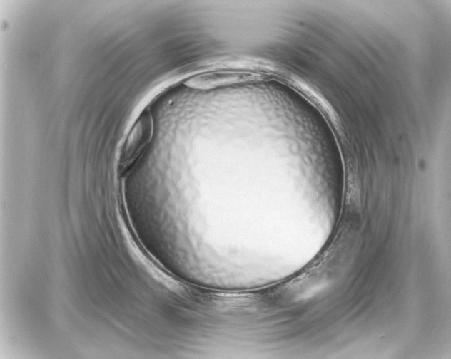 X0000087571483200705112200