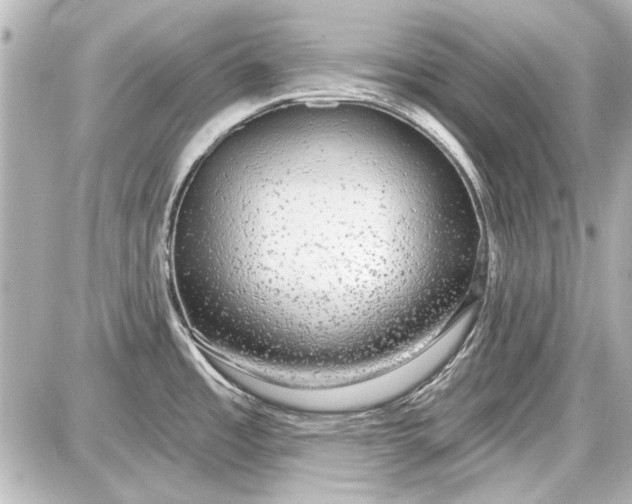 X0000087571485200705112200
