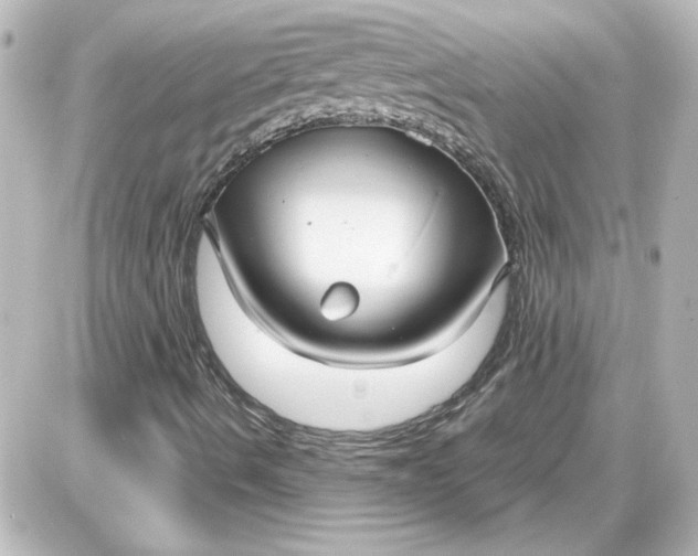 X0000087571490200705112159