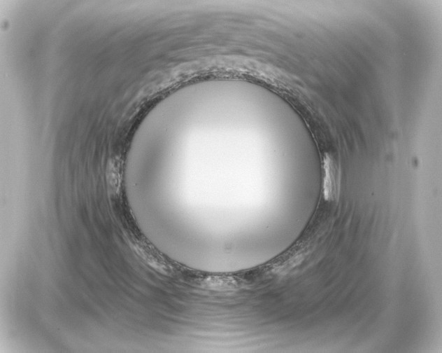 X0000087571491200705112159