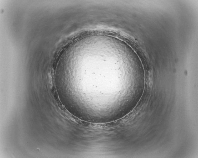 X0000087571493200705112159