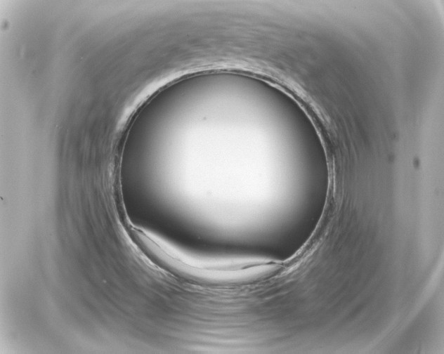 X0000087571500200705112159
