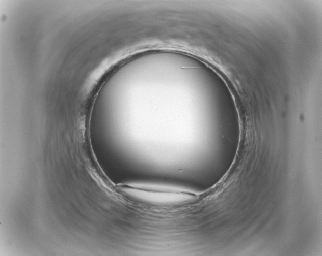 X0000087571503200705112159