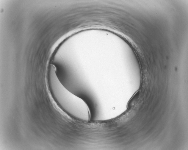 X0000087571518200705112159