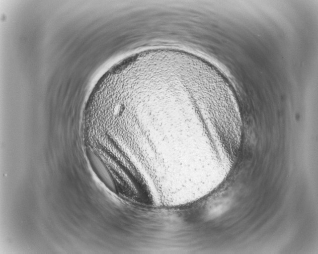 X0000087571527200705112159