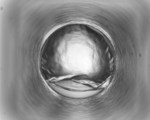 X0000087571533200705112200