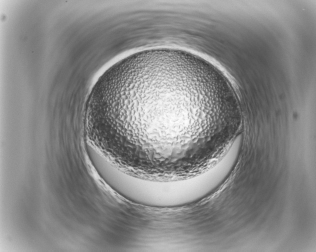 X0000087571534200705112200