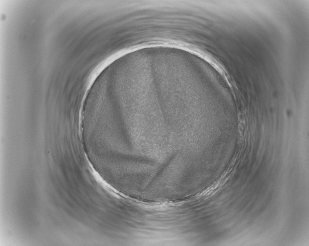 X0000087571535200705112200