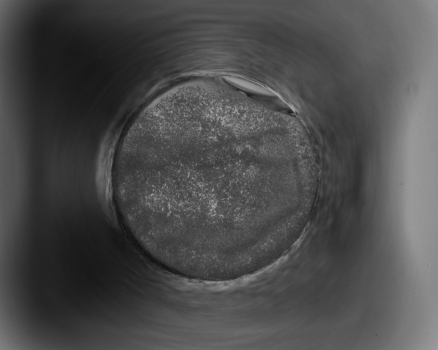 X0000087570002200705181151