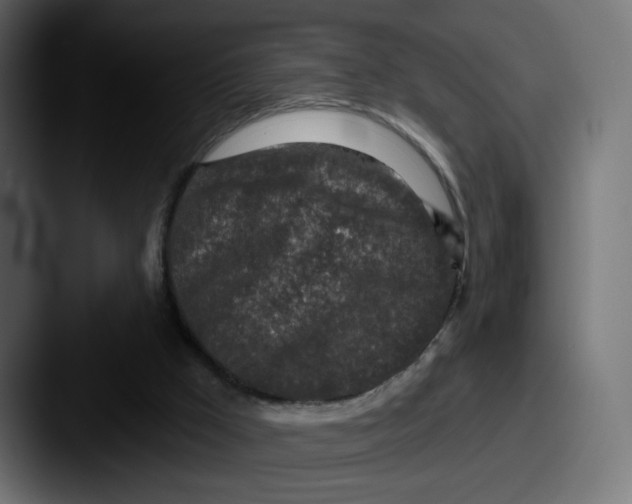 X0000087570009200705181151