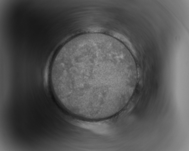 X0000087570012200705181151