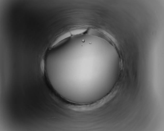 X0000087570013200705181151