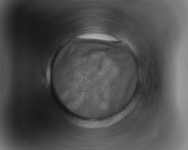 X0000087570014200705181151