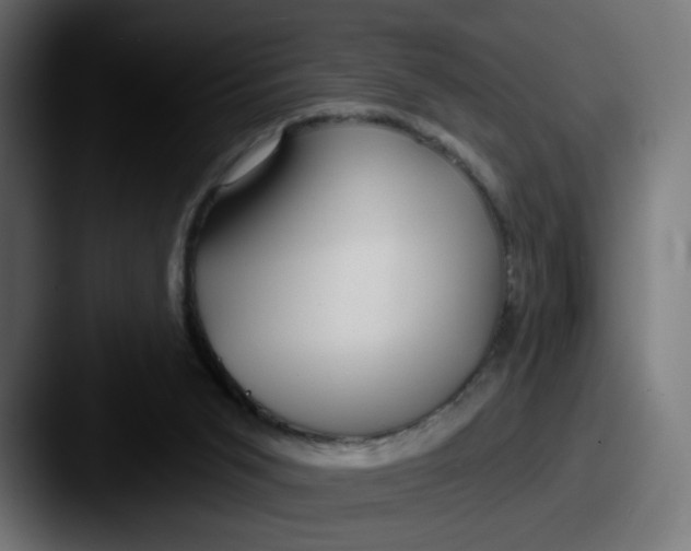 X0000087570015200705181151