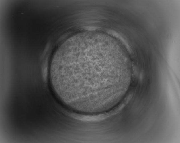 X0000087570016200705181151