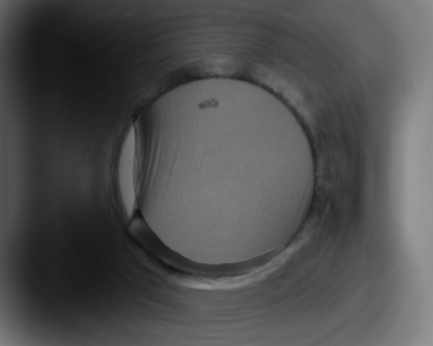 X0000087570017200705181151