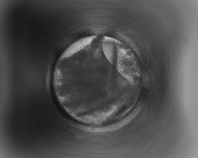 X0000087570018200705181151