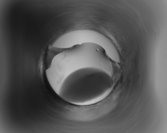 X0000087570019200705181151