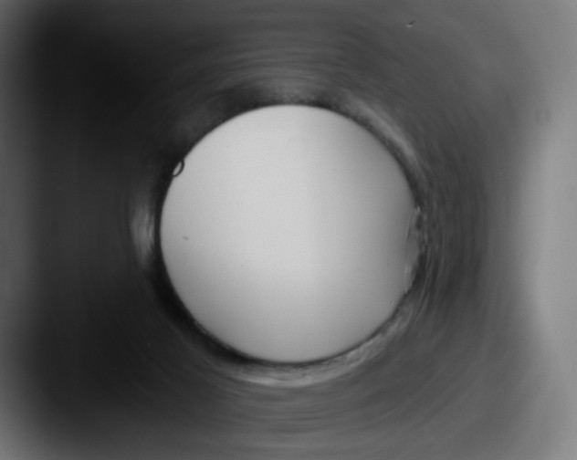 X0000087570021200705181151