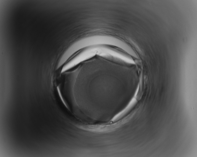 X0000087570023200705181151