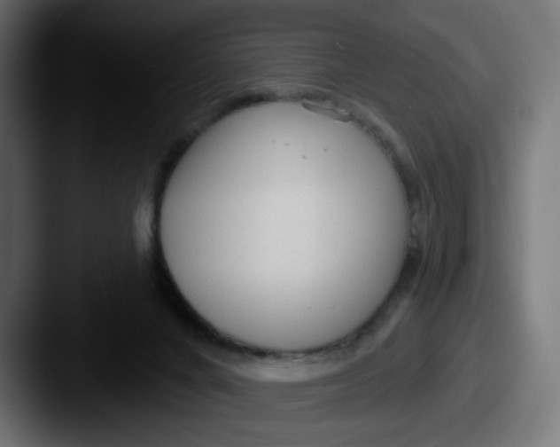 X0000087570024200705181151