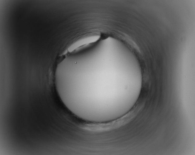 X0000087570025200705181151