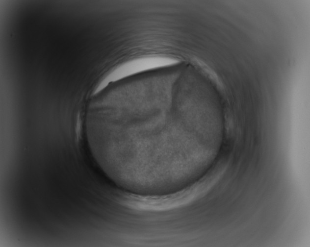 X0000087570026200705181151