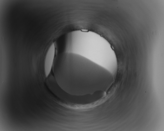 X0000087570027200705181151