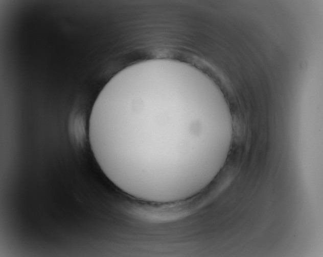 X0000087570028200705181151