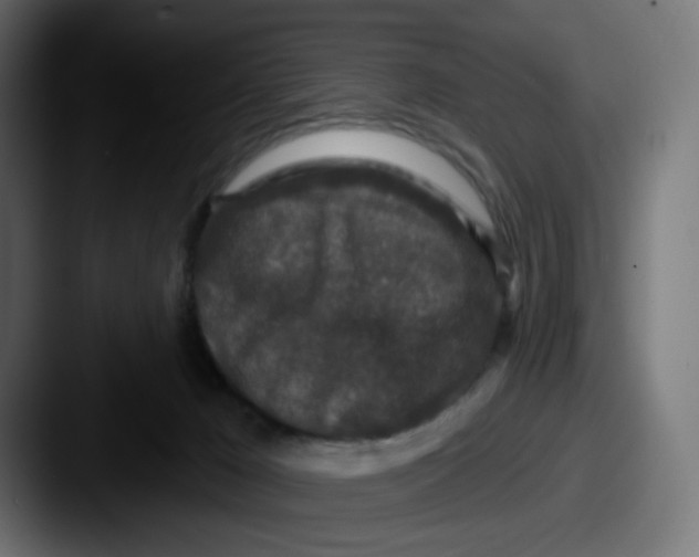 X0000087570029200705181150