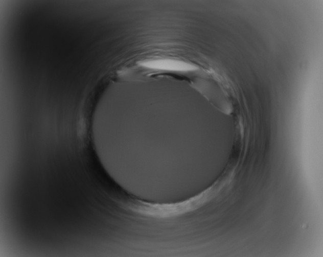 X0000087570031200705181150