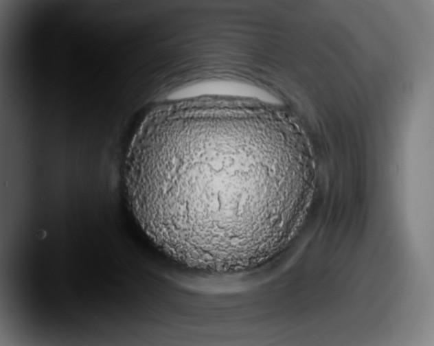 X0000087570032200705181150