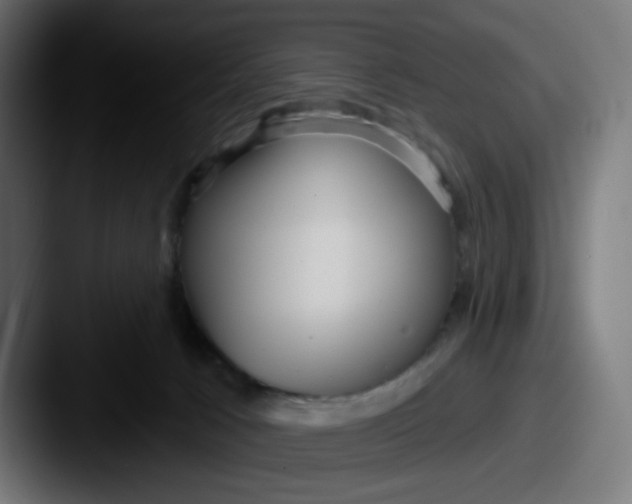 X0000087570033200705181150