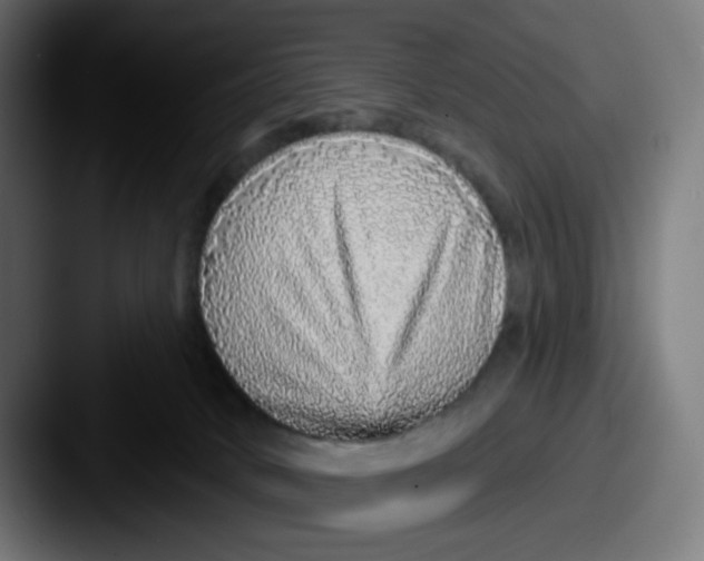 X0000087570034200705181150