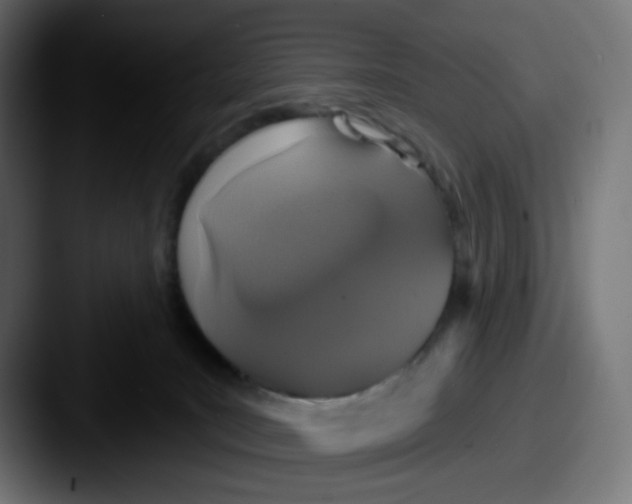 X0000087570035200705181150