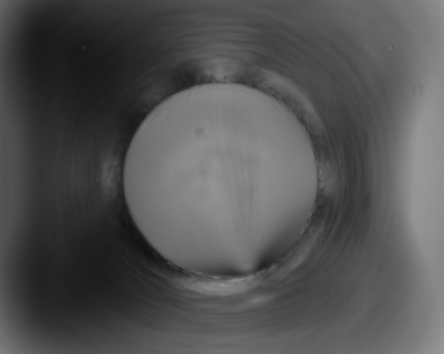 X0000087570036200705181150