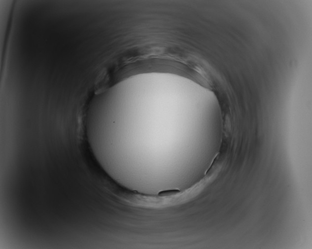 X0000087570037200705181150