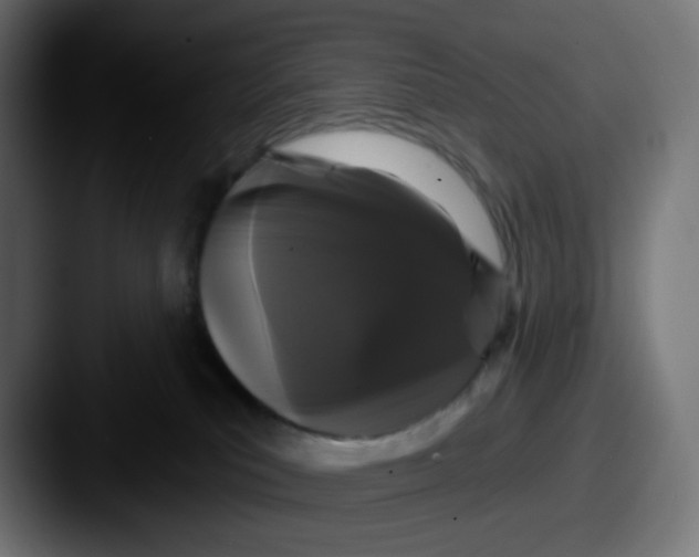 X0000087570039200705181150