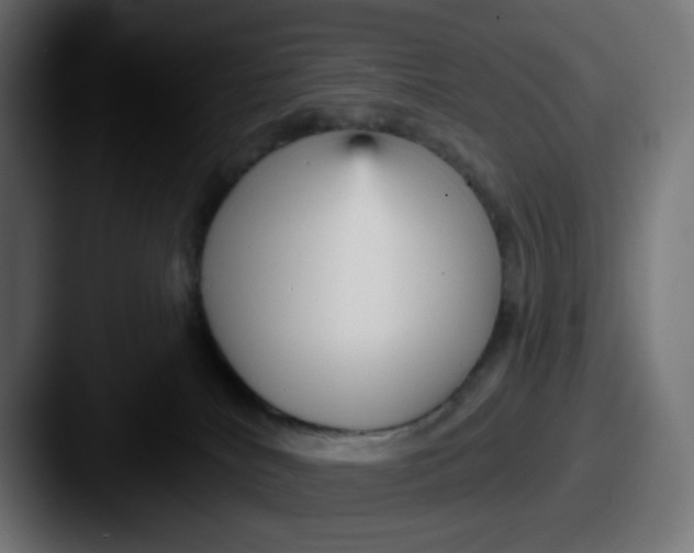 X0000087570040200705181150