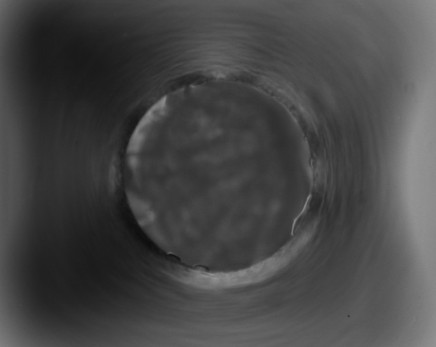 X0000087570043200705181150