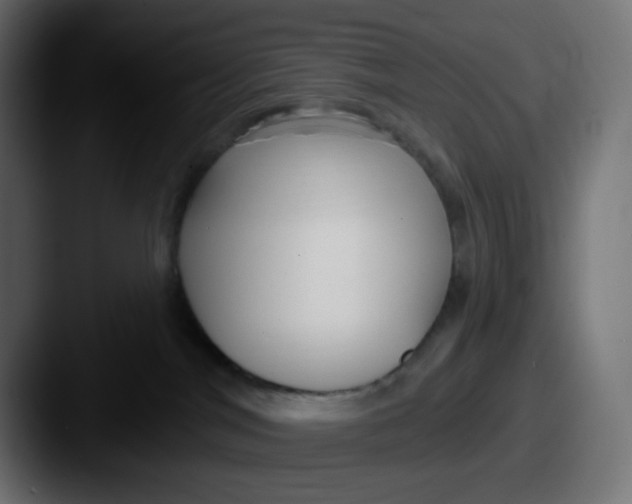 X0000087570044200705181150