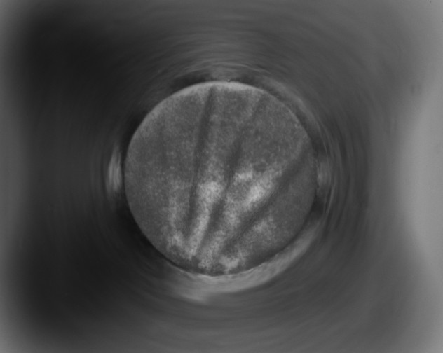 X0000087570046200705181150