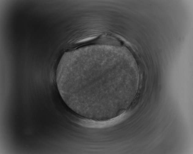 X0000087570048200705181150