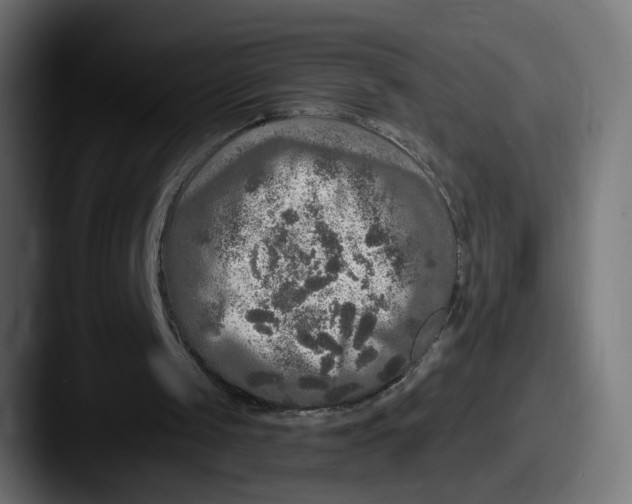 X0000087570049200705181150