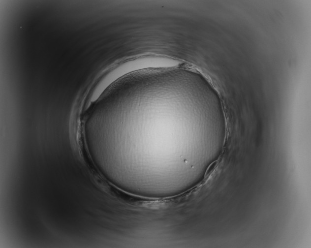 X0000087570050200705181150